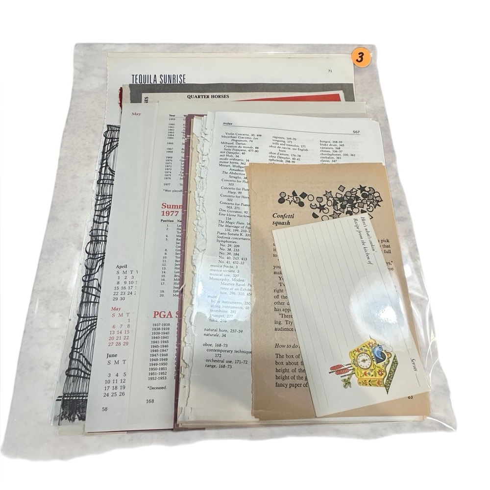 Authentic Book and Magazine Pages for Junk Journaling/Crafting